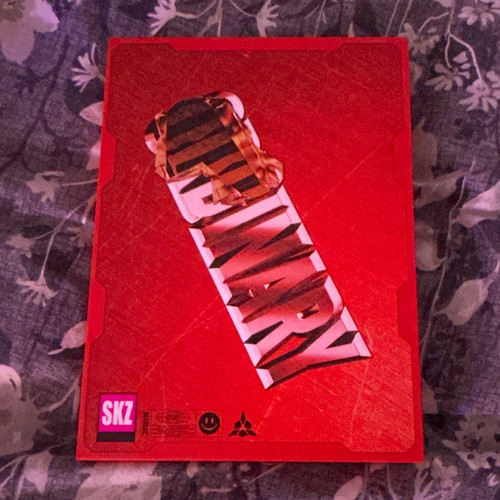Stray kids maniac - stray,